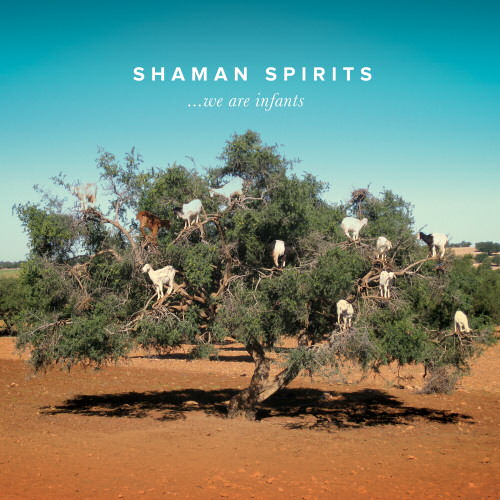 ShamanSpirits